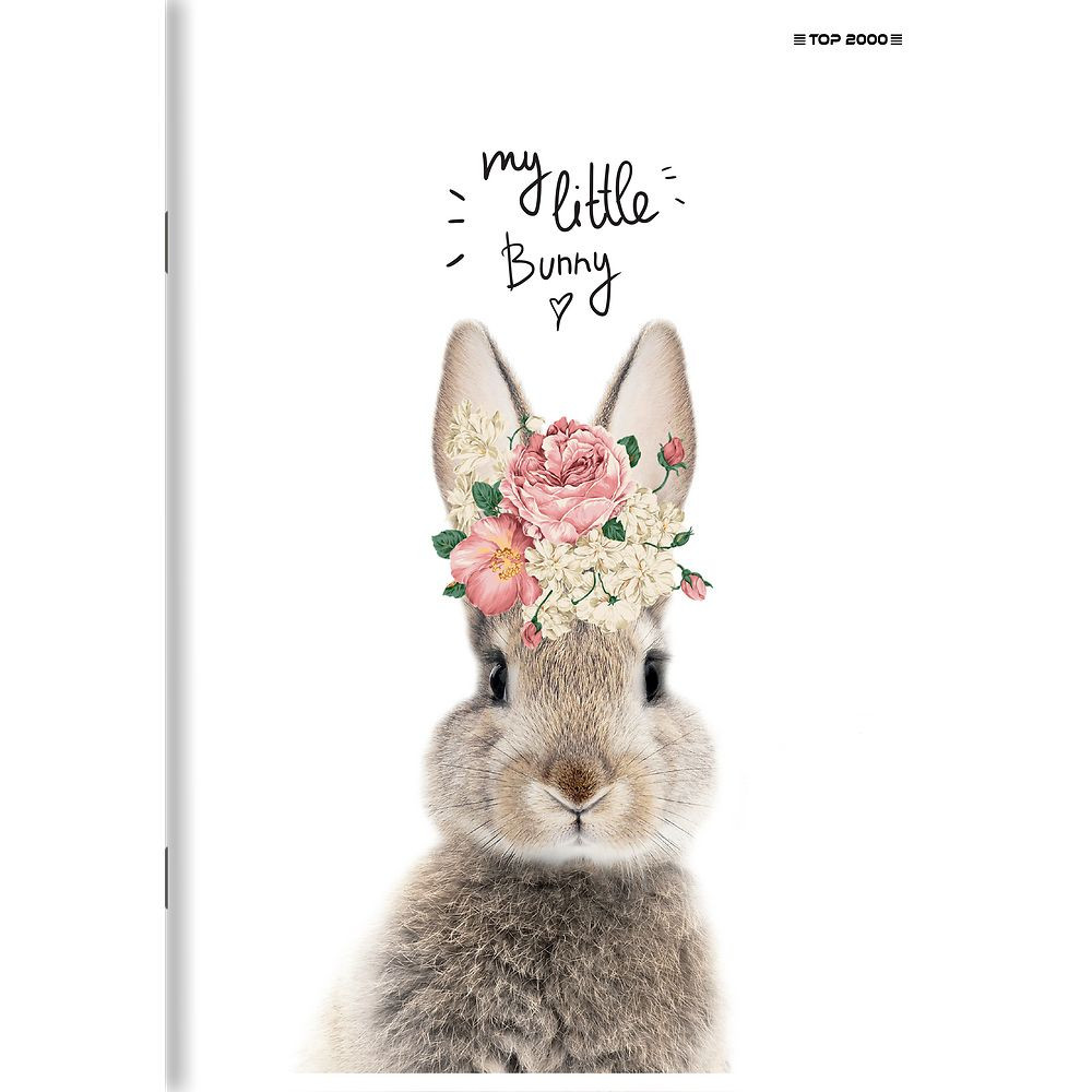 Zeszyt A5/16k linia podwójna kolorowa mix Top Basic